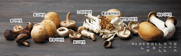 한국인 식성 요약.jpg | 인스티즈