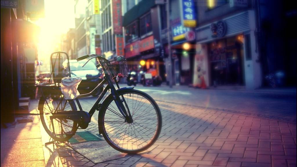 한국의 밤.jpg | 인스티즈