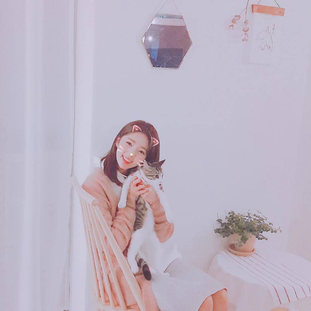 귀여운 채수빈 (데이터 주의) | 인스티즈