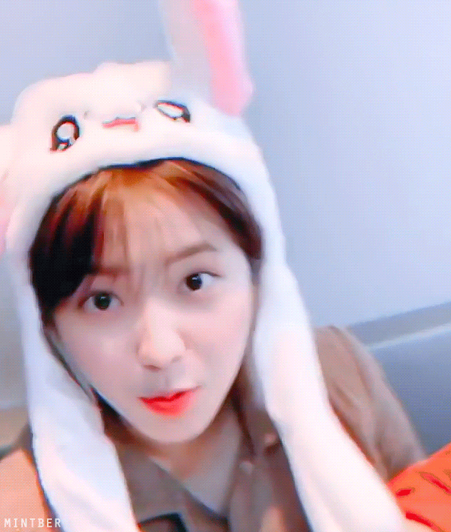 레드벨벳 예리 토끼귀 | 인스티즈