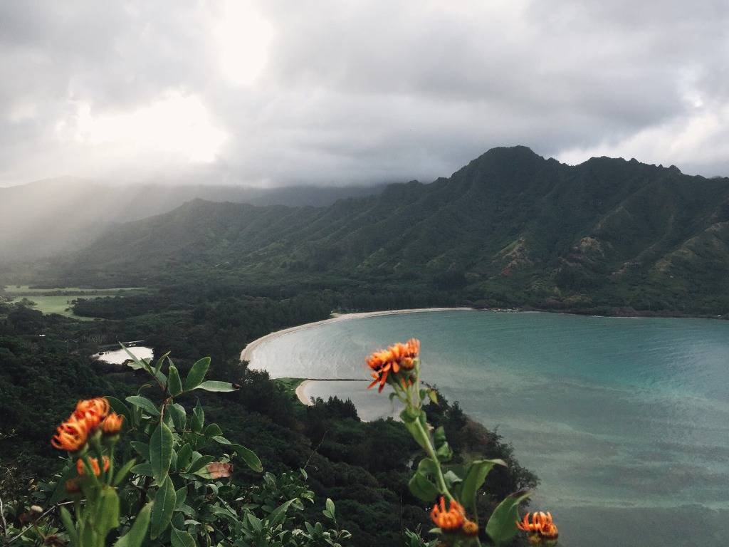 다들 신혼여행갈때 하와이 하와이 하는 이유 | 인스티즈