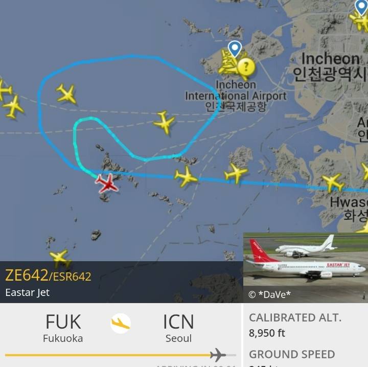 35분간 상공에서 방황하던 비행기들 | 인스티즈