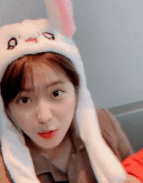 레드벨벳 예리 토끼귀 | 인스티즈