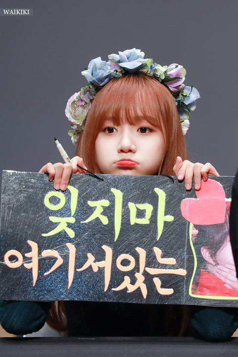 아이즈원 조유리 보고가세요.jpgif | 인스티즈