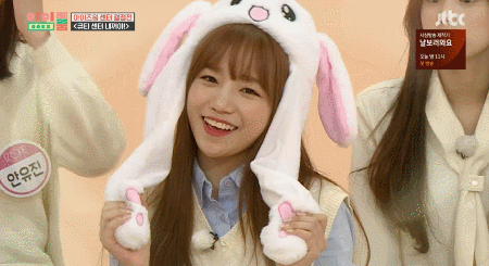 아이즈원 율귀탱.jpgif | 인스티즈