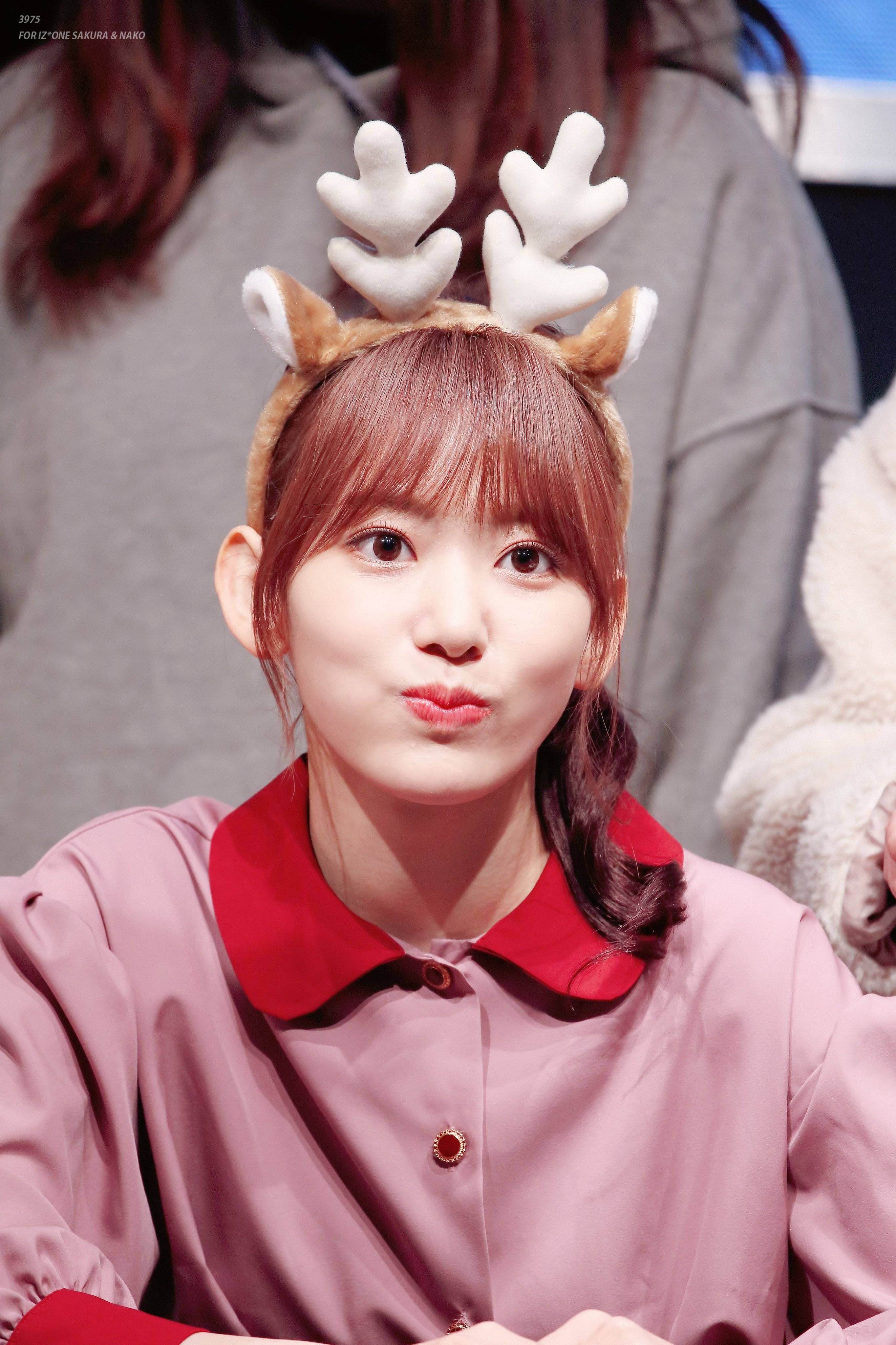 포니테일이 잘어울리는 아이즈원 사쿠라.jpg | 인스티즈