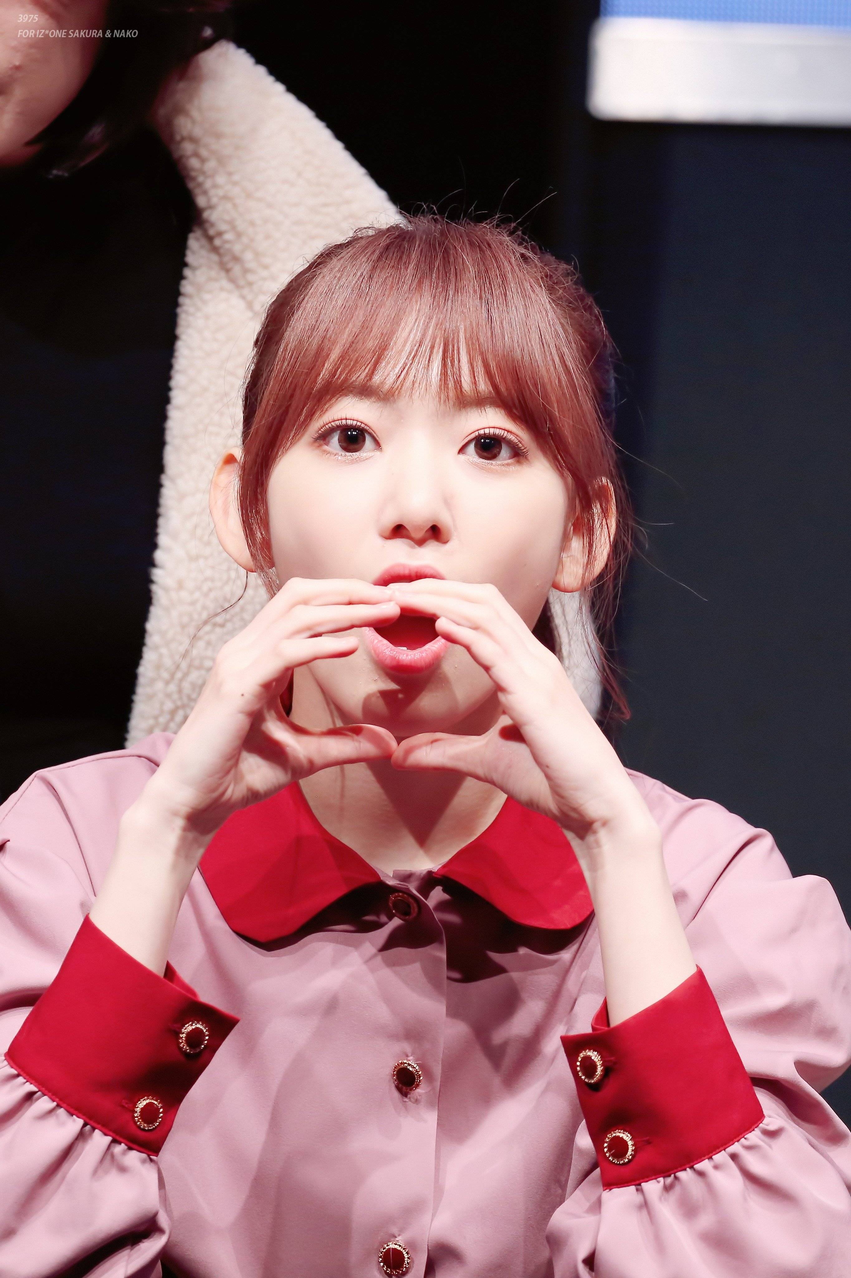 포니테일이 잘어울리는 아이즈원 사쿠라.jpg | 인스티즈