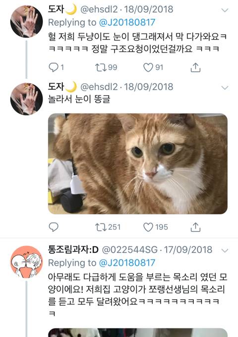 화장실에 간 집사를 구하기 위해 용맹하게 울부짖는 고영 | 인스티즈