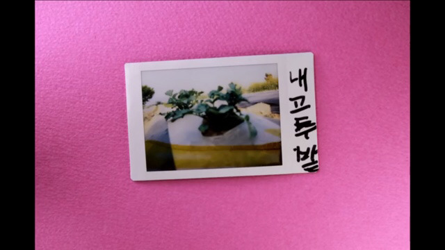 박막례 할머니에게 일주일동안 즉석 카메라를 맡겼을 때 | 인스티즈