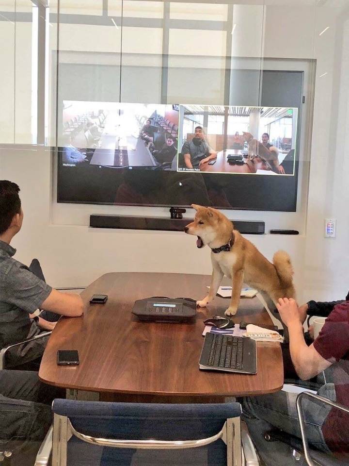 ??: 내 말이 개같니! | 인스티즈