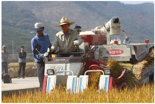 바보 노무현.jpg | 인스티즈