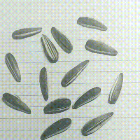 3개는 그림이다 찾을 수 있겠는가 | 인스티즈