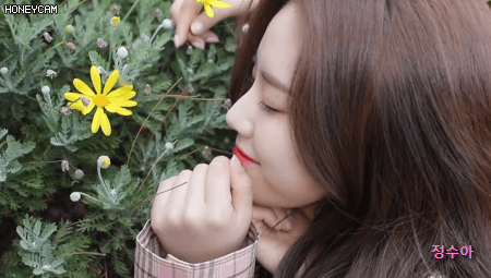 데뷔 300일기념 프로미스나인 박지원 | 인스티즈