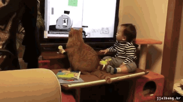 어이 거기 귀요미들 | 인스티즈