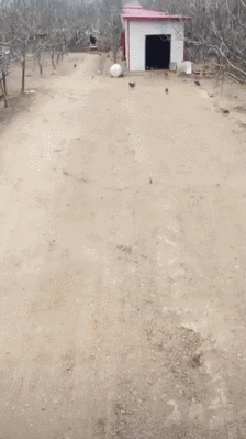 지..랑 결혼해주실래유? | 인스티즈