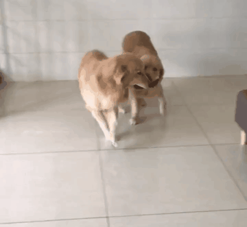 그럴줄 아랏다.. 말썽꾼들..ㅋㅋ | 인스티즈