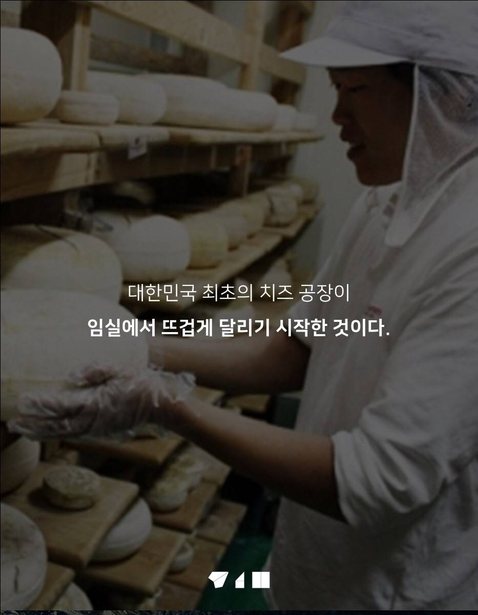 대한민국 치즈의 숨겨진 비밀 | 인스티즈