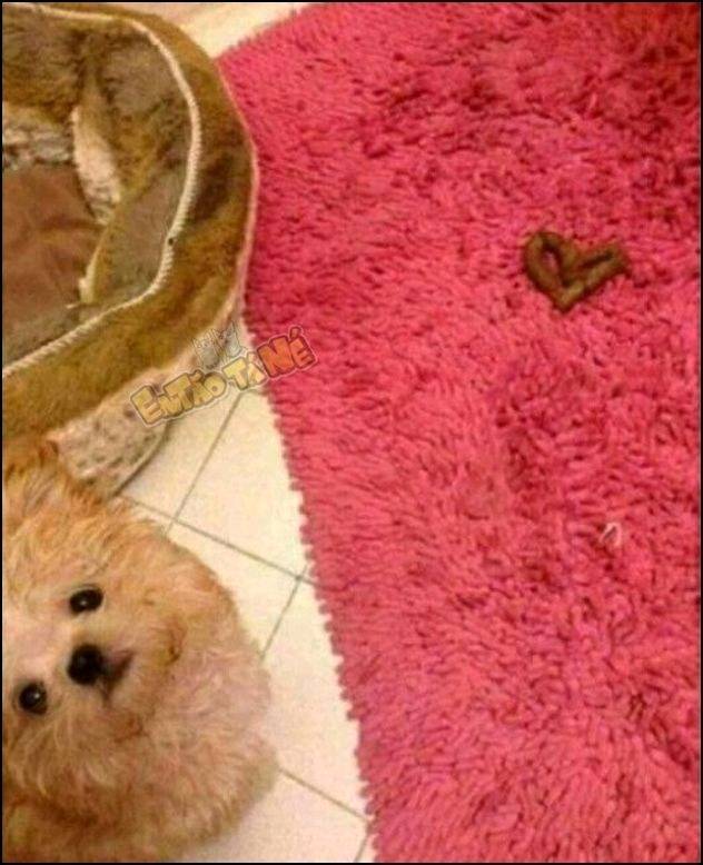 사랑고백을 받아준다 vs 정색한다 | 인스티즈