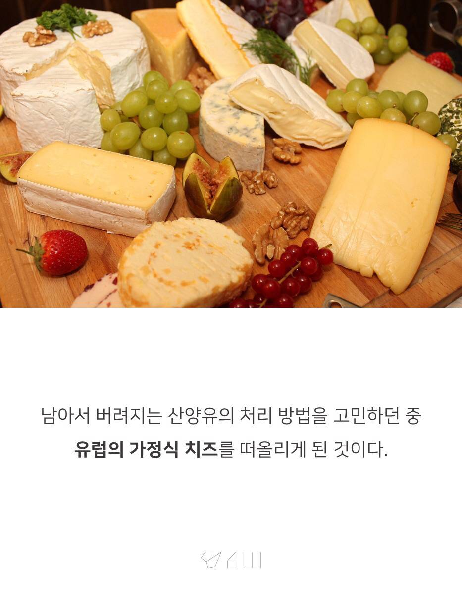 대한민국 치즈의 숨겨진 비밀 | 인스티즈