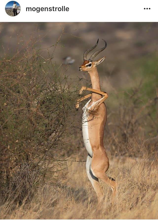 사람인가 | 인스티즈