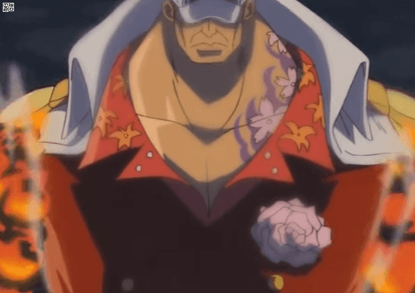 루피 5분컷 가능하다vs아니다 루피가 이긴다 | 인스티즈