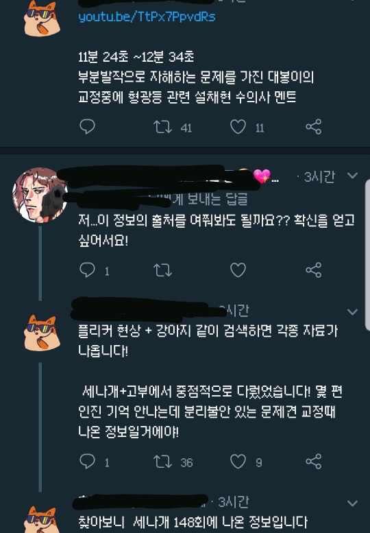 댕댕 냥냥이랑 사는 사람들 불켜두고 나가지 말래 | 인스티즈