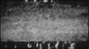 일본 특유의 기괴함과 기분나쁜 무서움.jpgif (분명히 주의 줬음) | 인스티즈