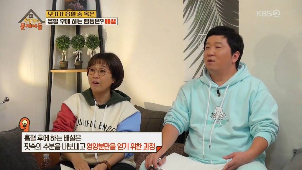 모기가 흡혈중 하는 행동 | 인스티즈