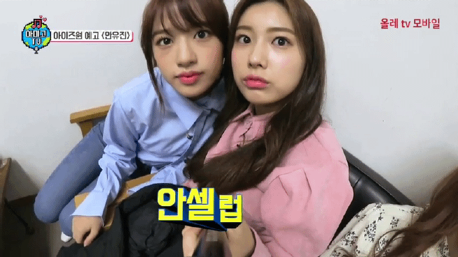 안유딩 등장 (아이즈원) | 인스티즈