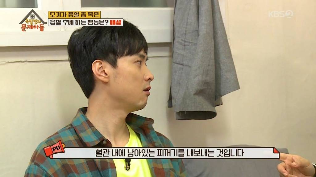 모기가 흡혈중 하는 행동 | 인스티즈