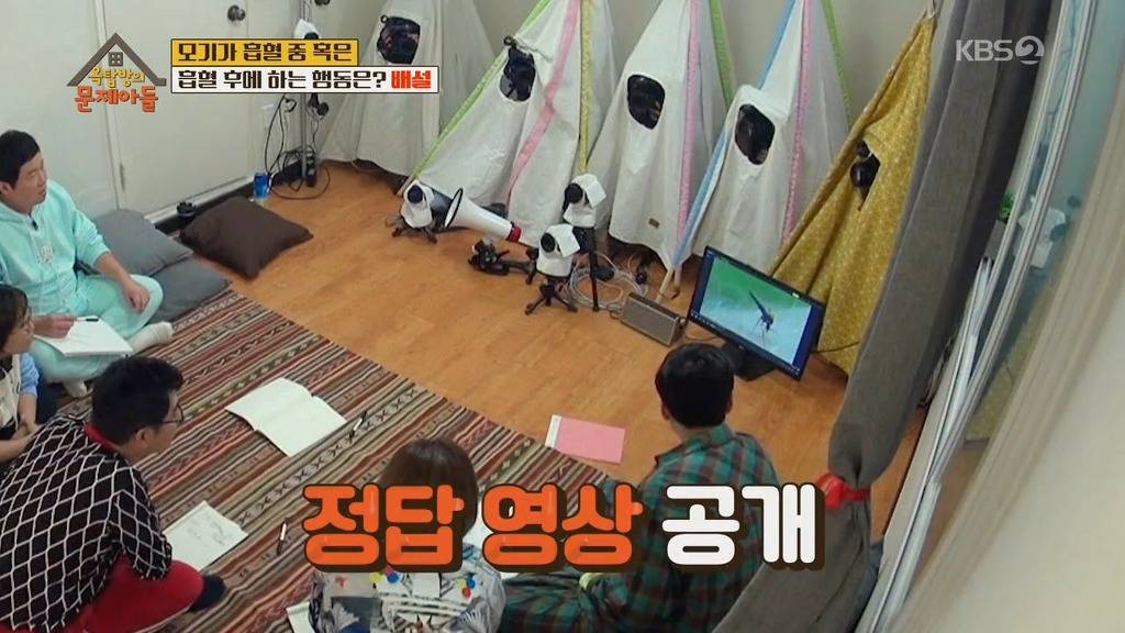 모기가 흡혈중 하는 행동 | 인스티즈