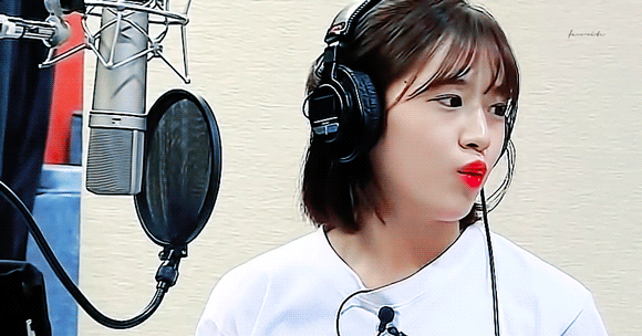 아이즈원 대형견 안댕댕.jpgif | 인스티즈