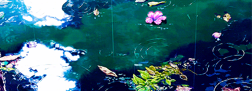 영상미가 예뻤던 언어의정원 gif // 데이터주의 | 인스티즈