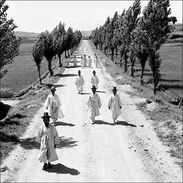 1950년대 수원의 모습 | 인스티즈