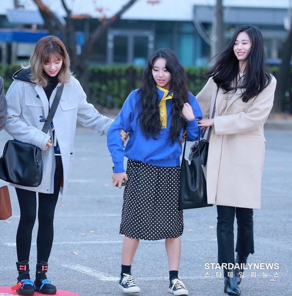 Breaking News - 예쁘고 귀여운 죄로 연행되는 아기맹수 채영이 | 인스티즈