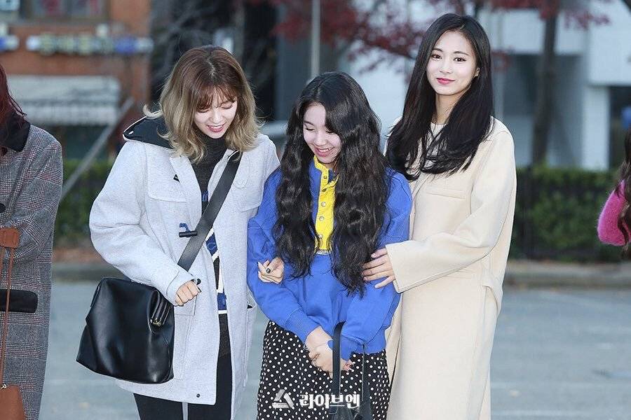 Breaking News - 예쁘고 귀여운 죄로 연행되는 아기맹수 채영이 | 인스티즈