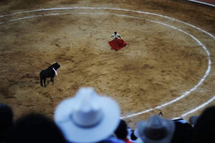 여행하며 찍은 사진들(20장) | 인스티즈