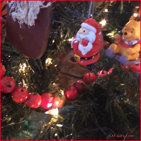 크리스마스트리와 고양이.GIF | 인스티즈