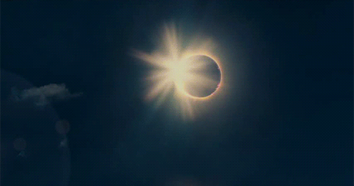 영화 아포칼립토.gif | 인스티즈