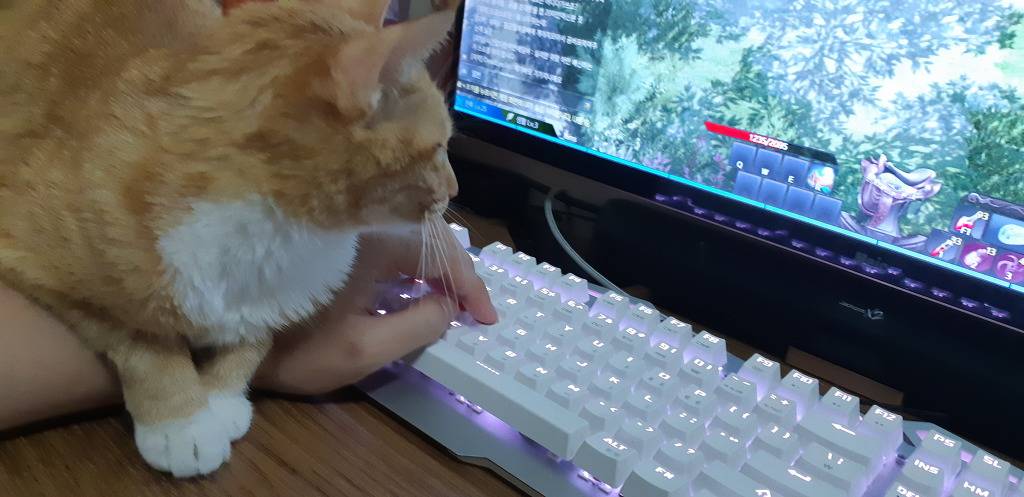 로아가 갓겜인 이유 | 인스티즈