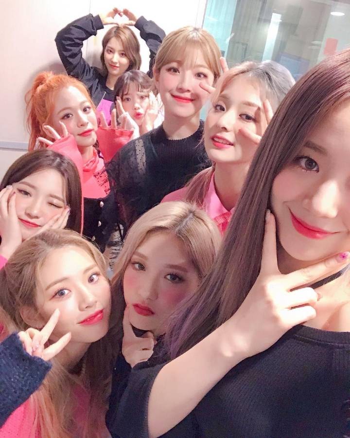 서로 놀리지 못하면 죽는 병에 걸린 프로미스나인 | 인스티즈