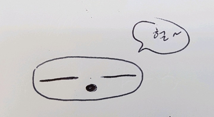 이거 입이다vs코다 | 인스티즈