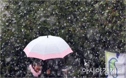 서울에 내린 첫눈 | 인스티즈