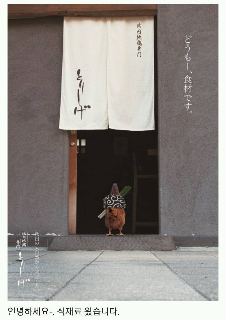 열도의 흔한 식재료 배달 | 인스티즈