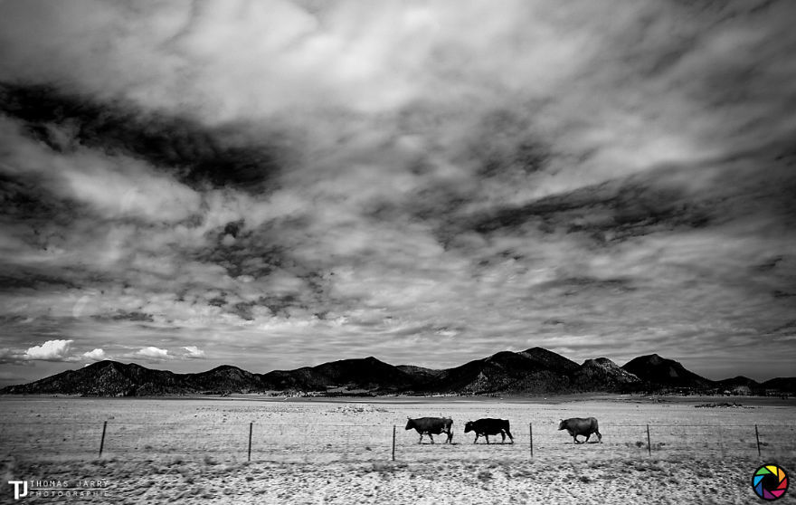 미국 서부 풍경의 아름다움 | 인스티즈