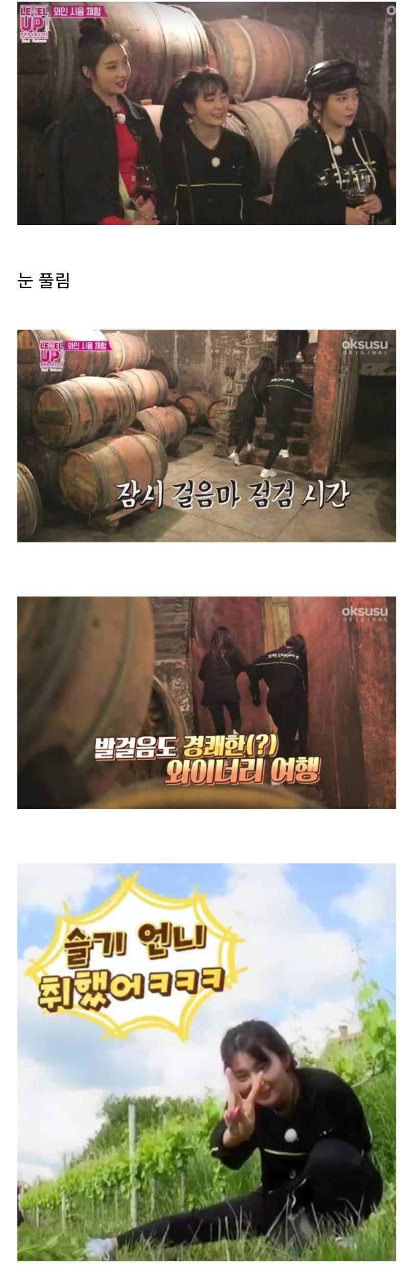 와인 시음하다가 진짜로 취해버린 레드벨벳 슬기.jpgif | 인스티즈