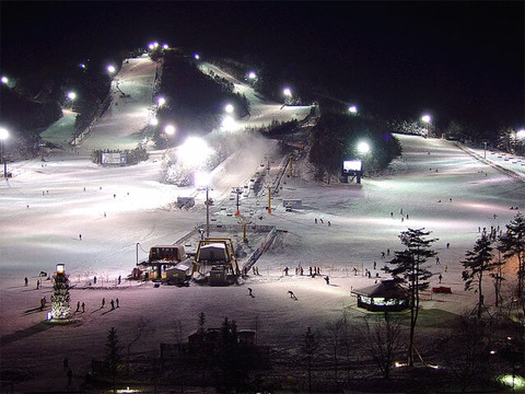 본인이 자주 가는 스키장은?.jpg | 인스티즈