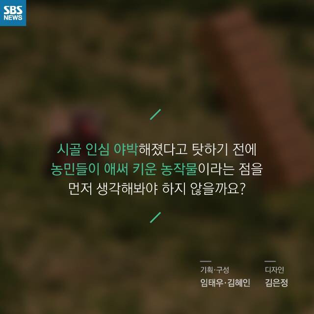 시골인심을 강요하는 사람들때문에 피해보는 농부들 | 인스티즈