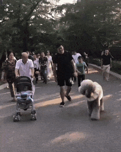 ?? : 한국인들은 다들 맛있는거에 집착해 | 인스티즈