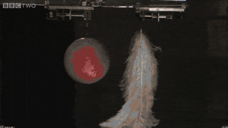 진공.GIF | 인스티즈